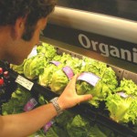 Будем иметь ли собственную органическую пищу