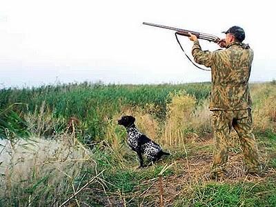 Перенос сезона охоты «свернет» работу охотничьих обществ?