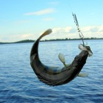 Рыбалка – отдых телом и душой